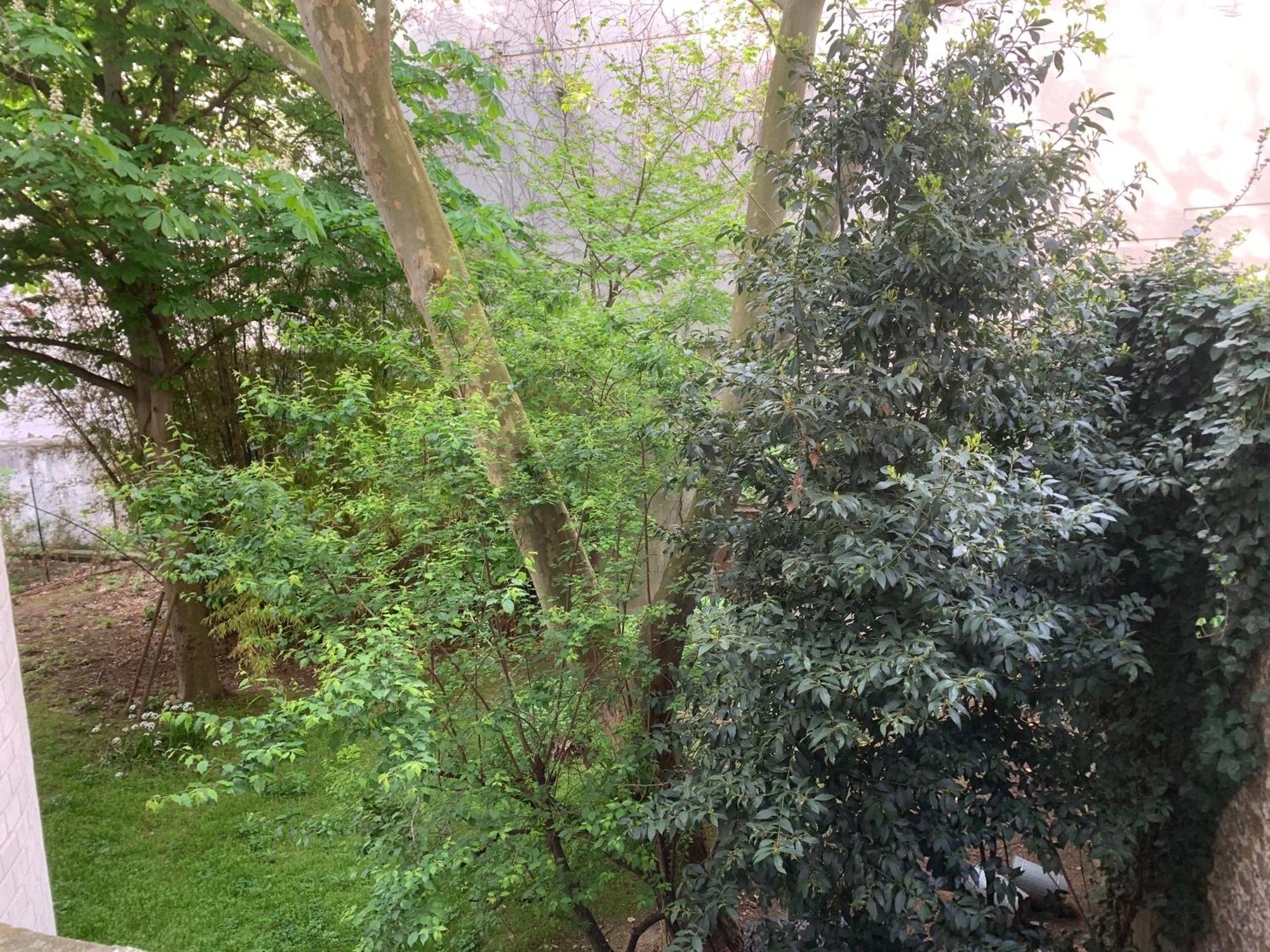 Charmant Studio Pere Lachaise 巴黎 外观 照片